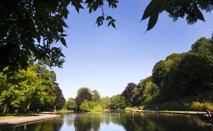 Fernleigh Homestay Bristol Esterno foto
